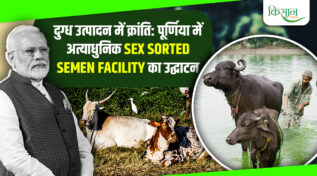 बिहार के पूर्णिया में पशुपालकों के लिए वरदान: देश की तकनीक से बनी ‘Sex Sorted Semen Facility’ का उद्घाटन