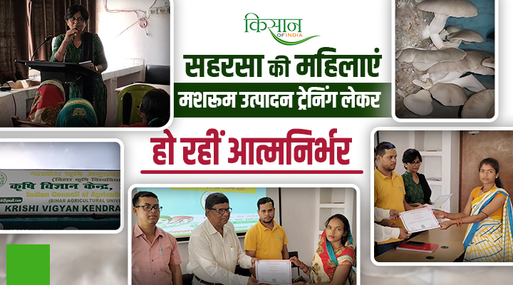 Mushroom Production Training से सहरसा की महिलाएं लिख रहीं आत्मनिर्भरता की कहानी, दे रहीं ग्रामीण अर्थव्यवस्था को मज़बूती