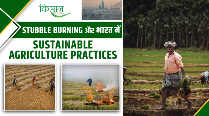 Ultimate Solution To Stubble Burning? जानिए कैसे टिकाऊ खेती और पराली प्रबंधन बचा सकता है हमारा स्वास्थ्य!