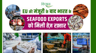 European Union ने भारतीय मत्स्य निर्यात के लिए खोले नए द्वार, 102 और फर्मों को मिली मंज़ूरी