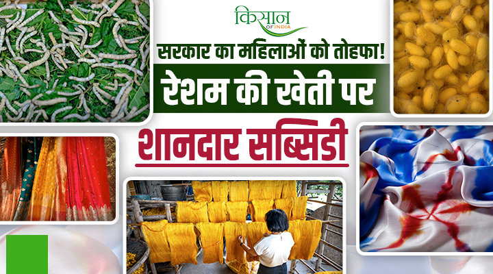 रेशम के धागों से बंधा सुनहरा भविष्य: लखीमपुर खीरी की थारू महिलाओं को यूपी सरकार दे रही ख़ास सब्सिडी