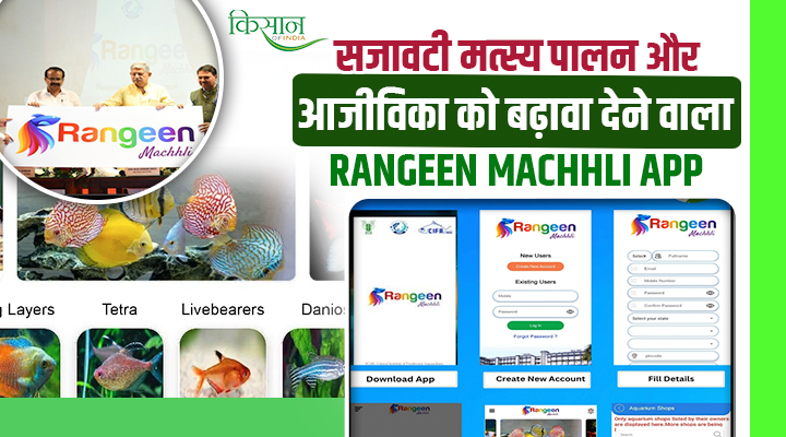 Rangeen Machhli App: ICAR का ‘रंगीन मछली’ ऐप जो दे रहा सजावटी मत्स्य पालन और आजीविका के अवसरों को बढ़ावा