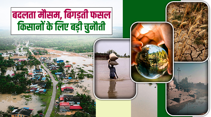 Climate Crisis: भारत का किसान प्रकृति के प्रकोप के सामने क्यों हार रहा? बाढ़, सूखा और बादल फटना बना नई ख़तरनाक 'सामान्य' स्थिति
