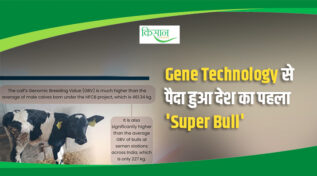 India's Dairy Revolution: NDDB में महाशक्तिशाली सांड़ 'वृषभ' का जन्म, सुपर बुल और Genomic Selection से तकनीक का चमत्कार