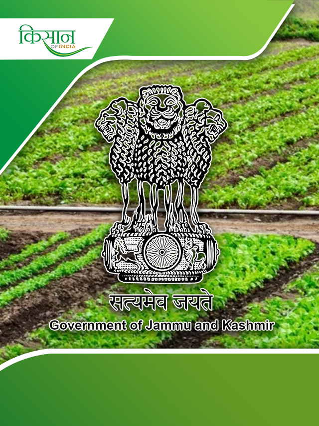 क्या है जम्मू-कश्मीर की किचन गार्डन स्कीम और कैसे लें इसका लाभ ? जानें