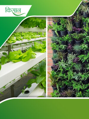 Vertical Farming Cover