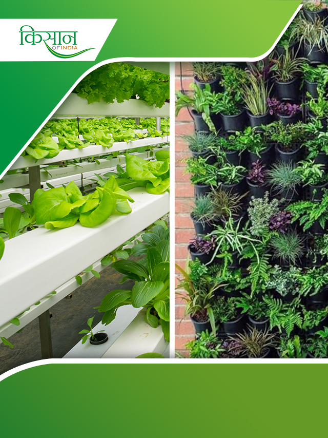 Vertical Farming के बारे में वो बातें जिनको जानना है काफी अहम