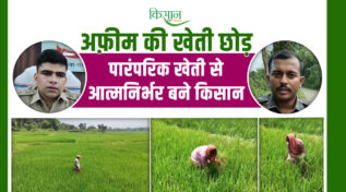 अफ़ीम की खेती छोड़ शुरू की पारंपरिक खेती Left opium cultivation and started traditional farming
