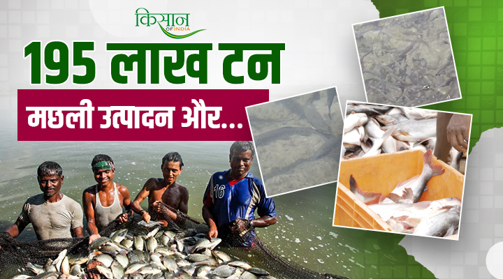 प्रधानमंत्री मत्स्य संपदा योजना