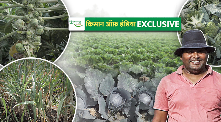 विदेशी सब्ज़ियों की खेती Exotic Vegetables farming