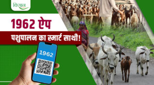 1962 Mobile App: पशुपालकों का स्मार्ट साथी,Animal Husbandry Revolution का डिजिटल सूत्रधार!