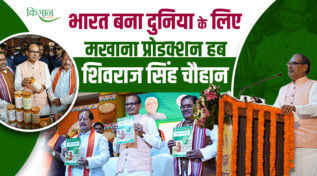 Makhana Revolution In Bihar: बिहार में शुरू हुई मखाना क्रांति, गरीब का ‘Superfood’ बन रहा है वैश्विक धरोहर