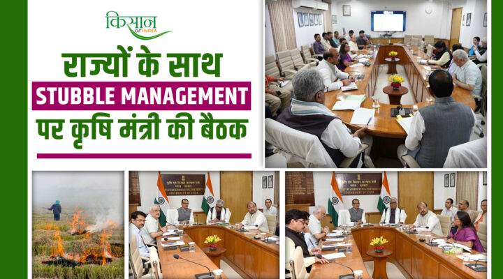 Stubble Management: केंद्र और राज्यों ने कसी कमर, अब पराली प्रबंधन पर जोर, लिया जाएगा सख़्त एक्शन