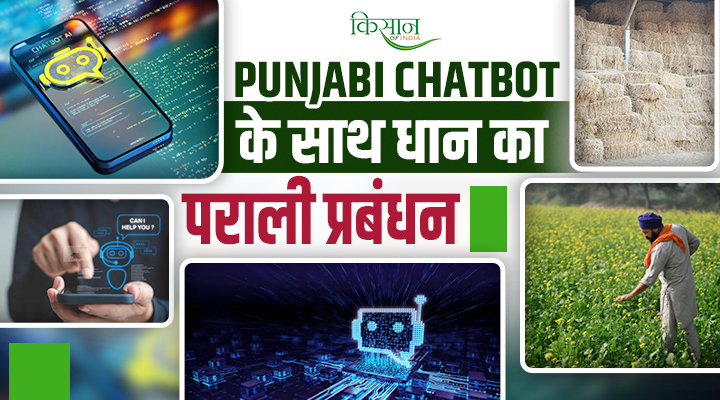 Chatbot In Punjabi Language: धुंए में घिरे पंजाब में पराली प्रबंधन की चुनौती और नई उम्मीद बना पंजाबी भाषा का Chatbot