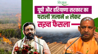Problem Of Stubble Burning: हरियाणा-यूपी में पराली जलाने पर 'Zero Tolerance'! अब हर खेत की होगी मैपिंग, लगेगा भारी जुर्माना