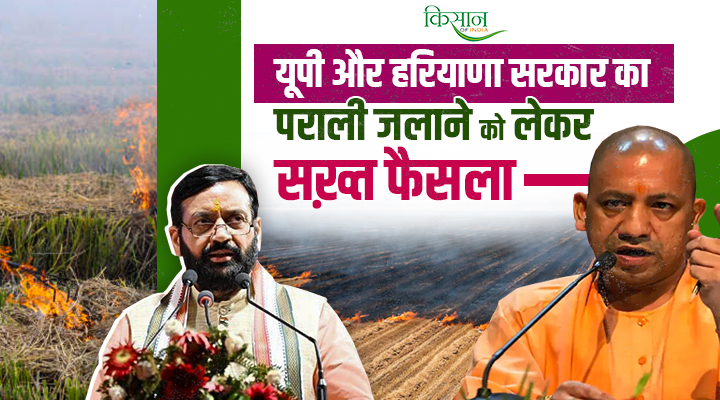 Problem Of Stubble Burning: हरियाणा-यूपी में पराली जलाने पर 'Zero Tolerance'! अब हर खेत की होगी मैपिंग, लगेगा भारी जुर्माना