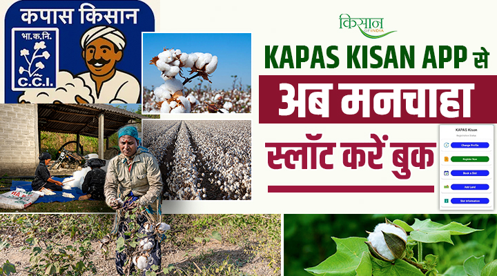 खेत से बाज़ार तक बस एक क्लिक! Kapas Kisan App लाया क्रांति, लंबी कतारों और भ्रष्टाचार से मुक्ति