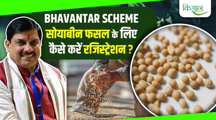 Bhavantar Yojana: भावांतर योजना में सोयाबीन रजिस्ट्रेशन शुरू, 5328 रुपये MSP का वादा, बागवानी किसानों को भी फ़ायदा