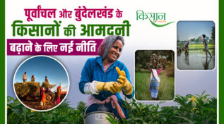 PM Krishi Dhan Dhanya Yojana: उत्तर प्रदेश के 12 पिछड़े ज़िलों के लिए कृषि क्रांति का ऐलान, पूर्वांचल और बुंदेलखंड पर Focus