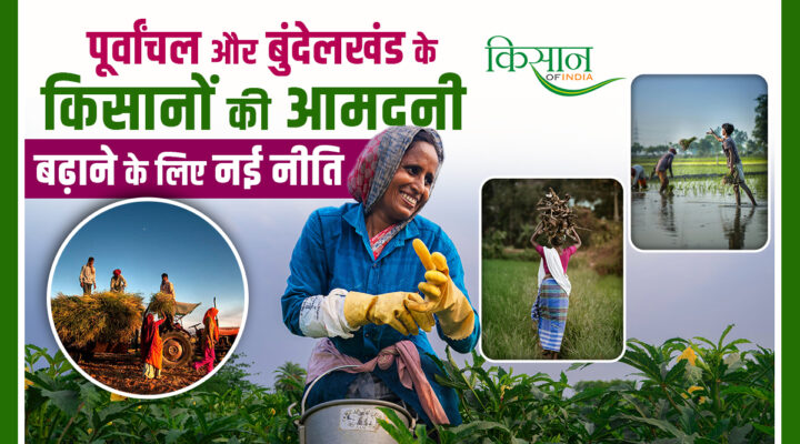 PM Krishi Dhan Dhanya Yojana: उत्तर प्रदेश के 12 पिछड़े ज़िलों के लिए कृषि क्रांति का ऐलान, पूर्वांचल और बुंदेलखंड पर Focus