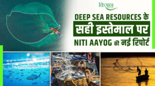 भारत की समुद्री शक्ति को मिली नई दिशा: NITI Aayog की 'ब्लू इकॉनमी' रिपोर्ट से खुलेगा लाखों लोगों के रोज़गार और एक्सपोर्ट का दरवाज़ा