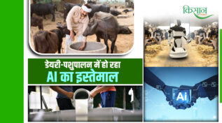 क्या आपका दूध और पनीर है असली, या 'सिंथेटिक'? AI बेस्ड Traceability System ला रहा क्रांतिकारी बदलाव