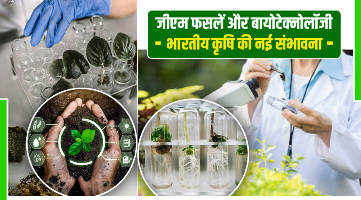 GM Crops And Agricultural Biotechnology: कैसे जैव प्रौद्योगिकी खोल रही है किसानों के लिए सफलता के दरवाज़े