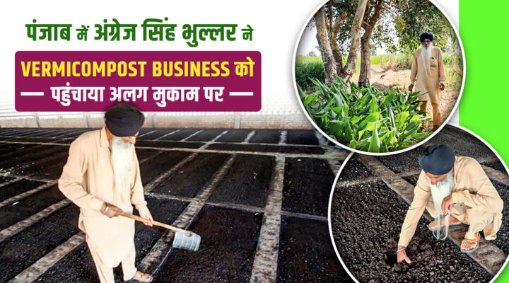 पंजाब के किसान अंग्रेज सिंह भुल्लर की सफलता की कहानी: Organic Farming और Vermicompost से मिल रहा तगड़ा मुनाफा
