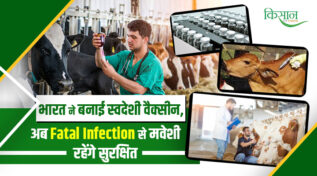 भारत ने पाई Animal Health में ऐतिहासिक उपलब्धि: ख़तरनाक IBR बीमारी के लिए 'Raksha-IBR' वैक्सीन विकसित
