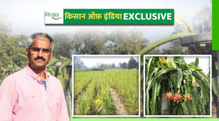 Natural Farming प्राकृतिक खेती