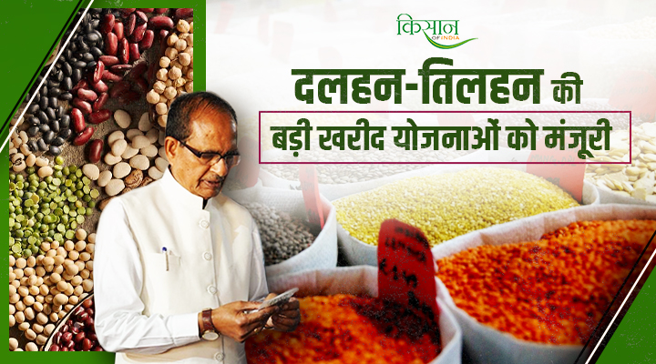 Kharif Season 2025-26: तेलंगाना, ओडिशा, महाराष्ट्र और एमपी के किसानों के लिए बड़ी राहत, दलहन और तिलहन की रिकॉर्ड ख़रीद मंज़ूरी