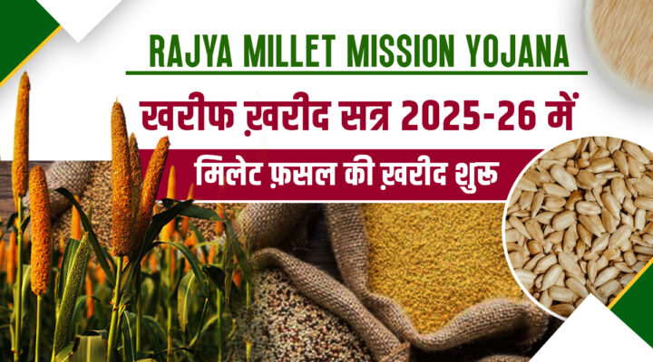 Rajya Millet Mission Yojana: उत्तराखंड में शुरू हुई खरीफ फ़सलों की ख़रीद, किसानों को मिल रहा न्यूनतम समर्थन मूल्य का फ़ायदा