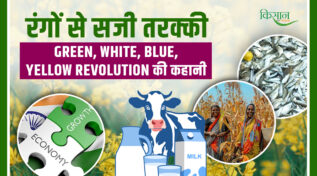 Colorful Revolutions और Indian Economy: जानिए, कैसे रंगों ने मिलकर बुनी भारत की आर्थिक ताकत की डोर