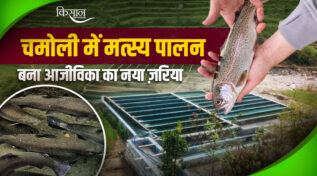 चमोली में मत्स्य पालन Chamoli matsya palan