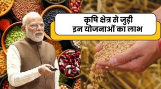 प्रधानमंत्री धन-धान्य कृषि योजना