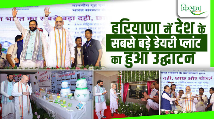 साबर डेयरी प्लांट देश का सबसे बड़ा डेयरी प्लांट