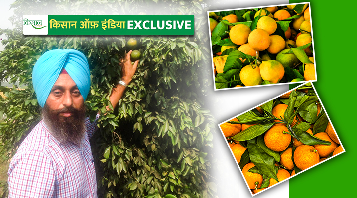 Kinnu's Garden: जानिए कैसे अमनप्रीत सिंह किन्नू का बाग लगाकर बने सबसे ज़्यादा मुनाफ़ा कमाने वाले किसान