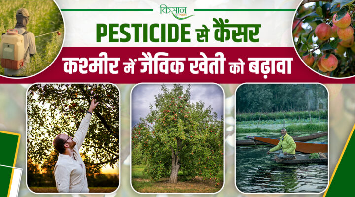 Toxic Pesticides In Kashmir :कश्मीर में लहलहाते सेब के बागों में कीटनाशकों से 64 हजार कैंसर केस, सरकार ने शुरू की 'जैविक खेती'