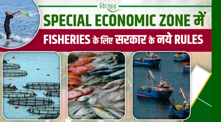Blue Economy: भारत की नई EEZ पॉलिसी बदल देगी मत्स्य उद्योग का नक्शा, सरकार ने बदले नियम