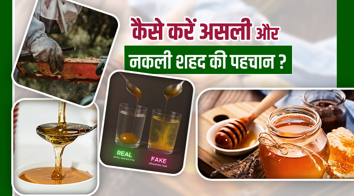 Real vs Fake Honey: सेहत का सवाल, जानिए कैसे चुनें असली और नकली शहद!