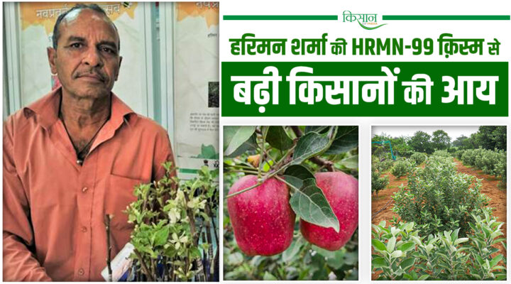 HRMN-99 Apple Variety