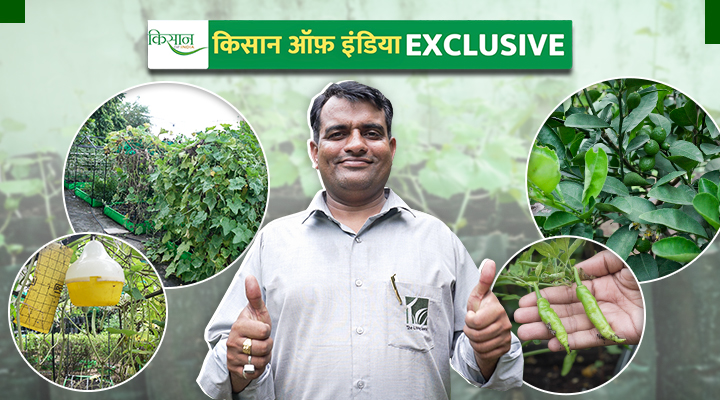 Portable farming system organic vegetables hardayal sheshma