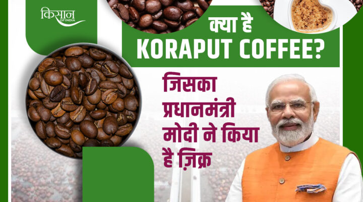 Brew In India, loved By The World: इंडियन कॉफी की ग्लोबल मार्केट में धूम, एक्सपोर्ट 1.80 अरब अमेरिकी डॉलर पहुंचा