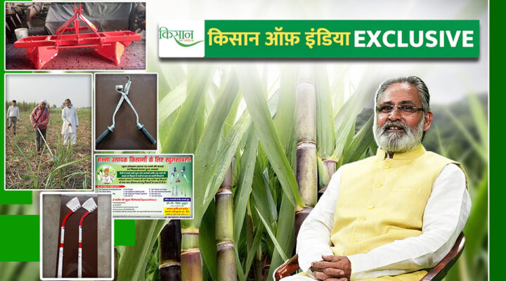 गन्ने की खेती Sugarcane Farming