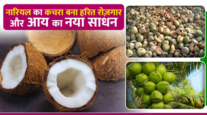 Coconut Waste नारियल का कचरा