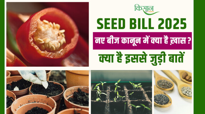 New Seed Bill 2025: किसानों को मिलेगा अच्छे बीज का ‘गारंटी कार्ड’, नकली बीज बेचने वालों पर भारी जुर्माना और जेल!