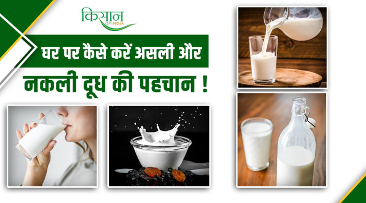 Is The Milk Real Or Fake?: सुबह की चाय से लेकर बच्चों के गिलास तक दूध की शुद्धता पहचानने के 3 आसान घरेलू टेस्ट