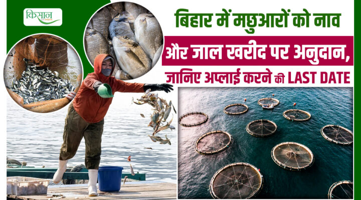 Boat And Net Package Distribution Scheme: 90 फीसदी सब्सिडी पर मिल रही नई नाव और जाल, ऐसे उठाएं फायदा