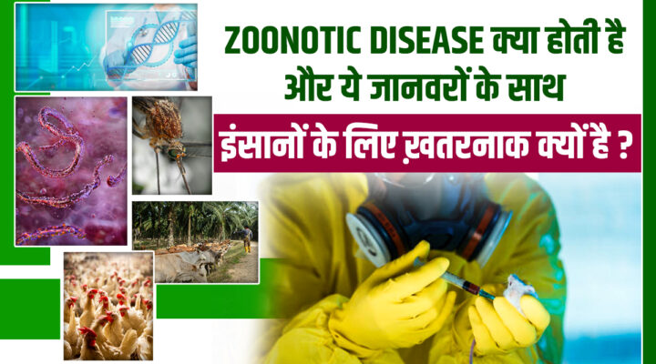 जानवरों से इंसानों में आने वाली Zoonotic Disease क्या है और कैसे करें इनसे बचाव ? जानिए
