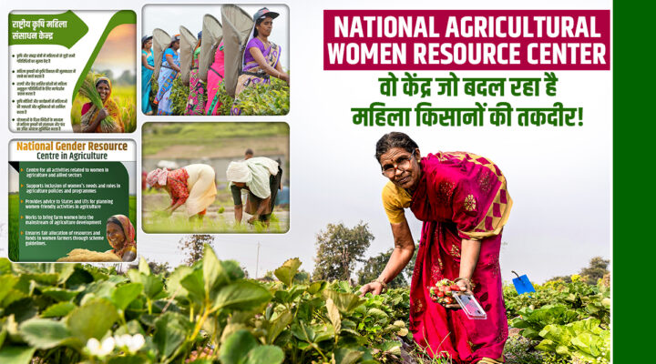 NAWRC: उन 'अनकही हीरोइनों' के लिए जो साड़ी की चुन्नट में बीज छुपाए, हाथों में फावड़ा थामे, खेतों में सोना उगाती हैं